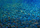 <h5>"Water V", 2009, 130x180cm</h5>