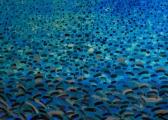 <h5>"Water V", 2009, 130x180cm</h5>